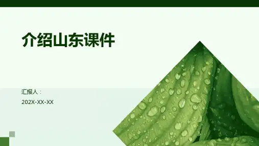 介绍山东课件ppt