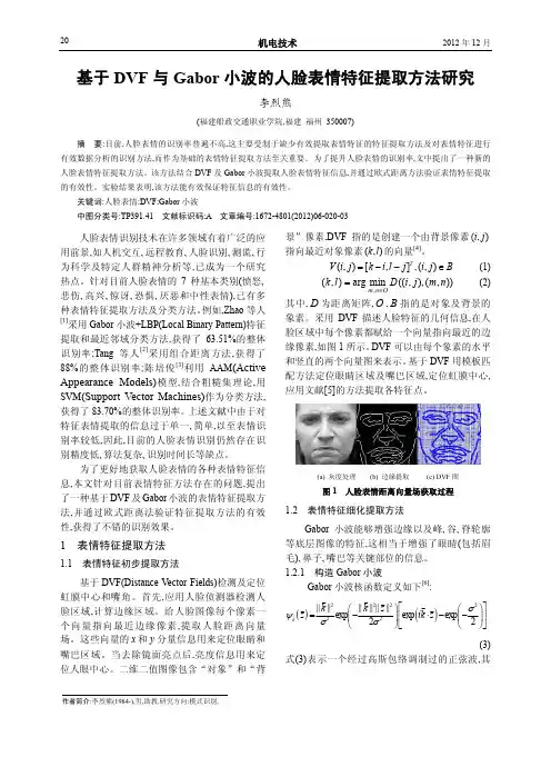 基于DVF与Gabor小波的人脸表情特征提取方法