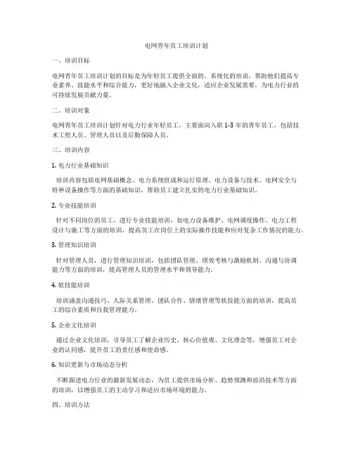 电网青年员工培训计划