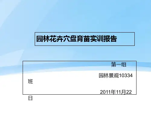 园林花卉穴盘育苗实训报告第一组ppt课件