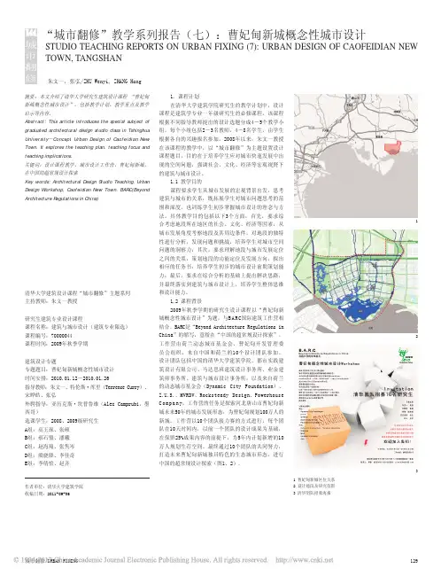 _城市翻修_教学系列报告_七_曹妃甸新城概念性城市设计