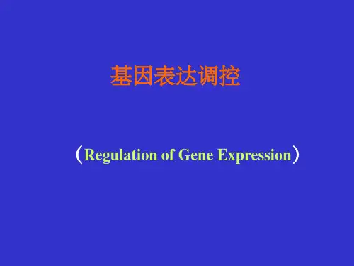 转录调控ppt课件