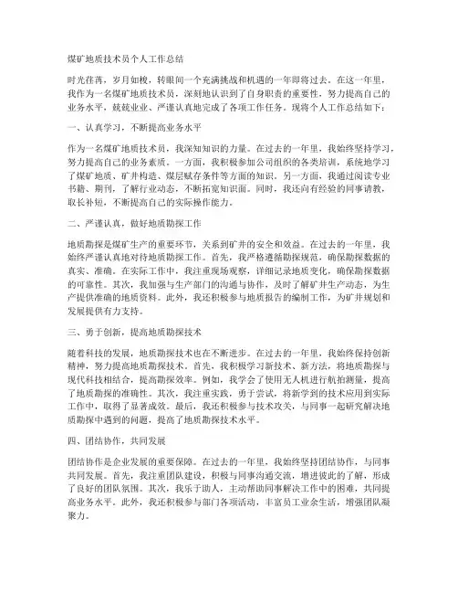 煤矿地质技术员个人工作总结
