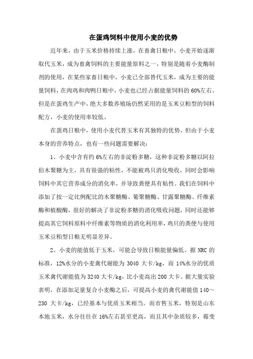 在蛋鸡饲料中使用小麦的优势