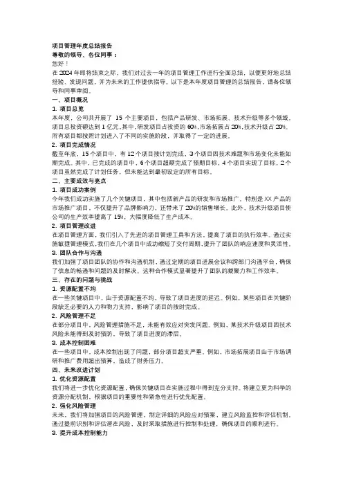 项目管理年度总结报告