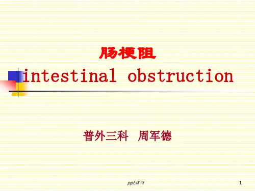 肠梗阻.  ppt课件