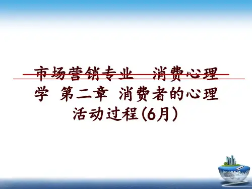 最新市场营销专业  消费心理学 第二章 消费者的心理活动过程(6月)ppt课件
