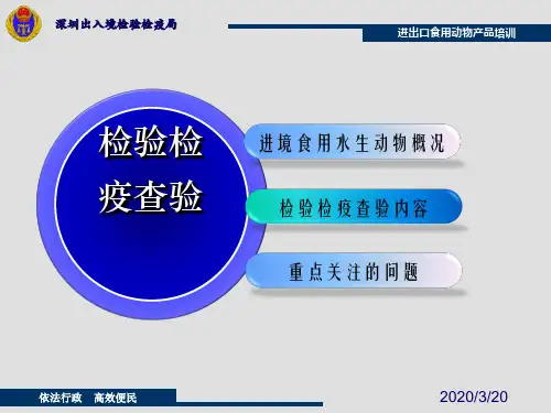 食品安全员培训课件—进境食用水生动物检验检疫现场查验-31页PPT资料