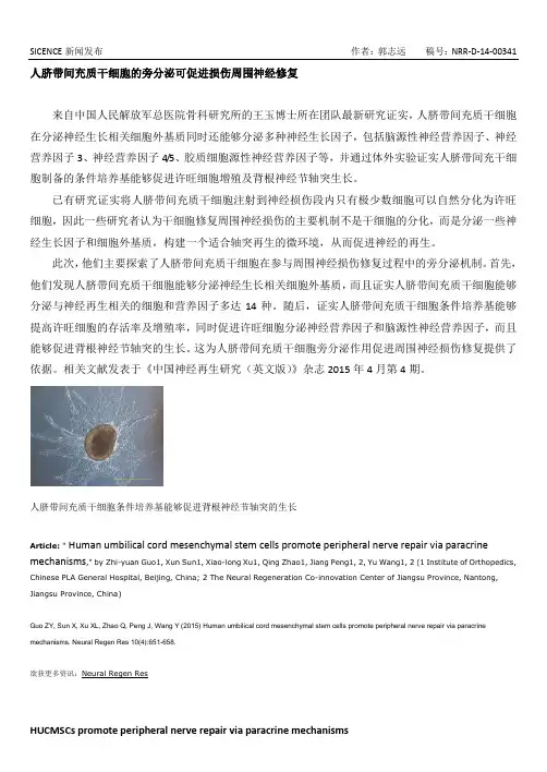 人脐带间充质干细胞的旁分泌可促进损伤周围神经修复