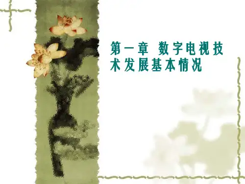 数字电视培训讲义PPT课件