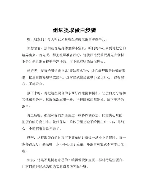 组织提取蛋白步骤