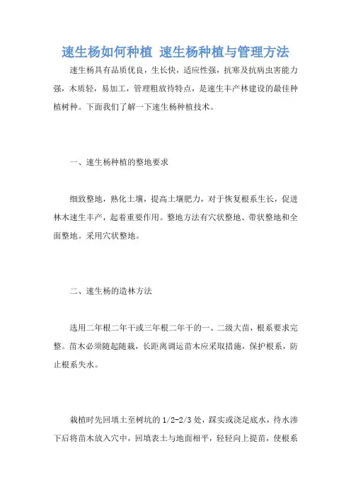 速生杨如何种植 速生杨种植与管理方法