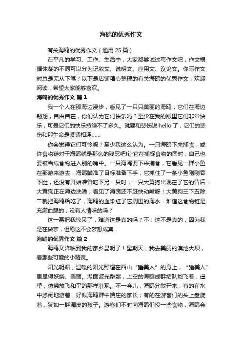 海鸥的优秀作文