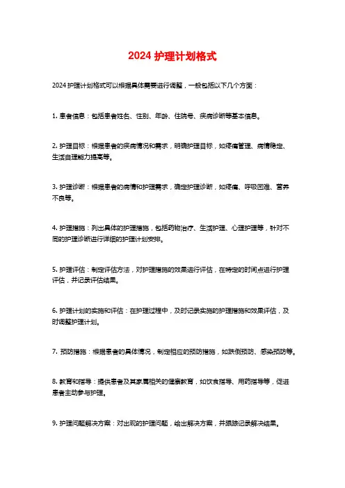 2024护理计划格式