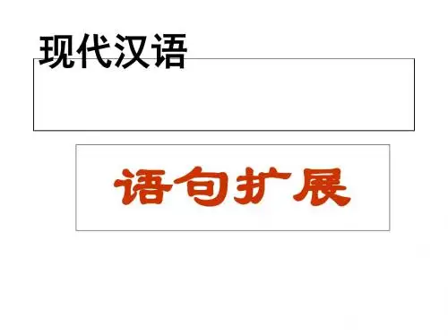 扩展语句的类型及应对策略教材(PPT 40张)