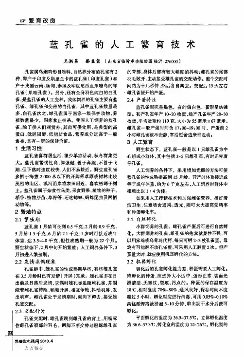 蓝孔雀的人工繁育技术