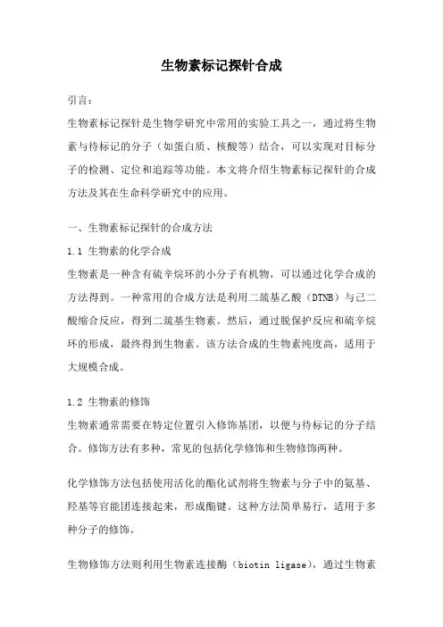 生物素标记探针合成