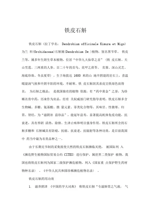 铁皮石斛介绍