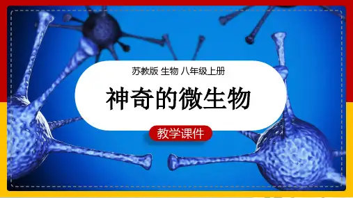 初中生物苏教版八年级上册《第三节神奇的微生物》课件(完美版)