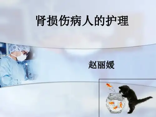 肾损伤病人的护理.ppt
