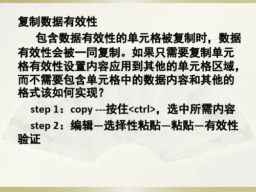 excel基础使用数据有效性规范录入