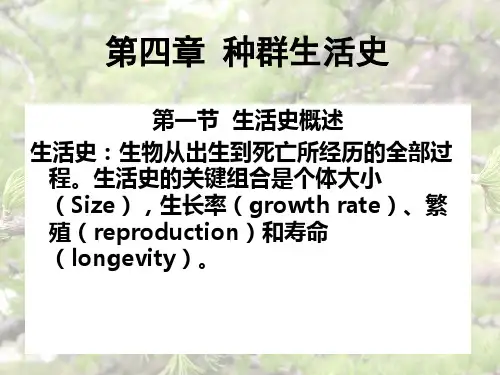 种群生活史对策