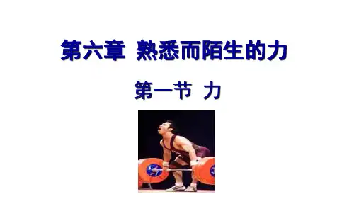 沪科版八年级物理第六章熟悉而陌生的力全章