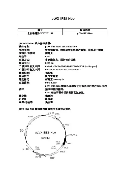 pLVX-IRES-Neo慢病毒载体使用说明