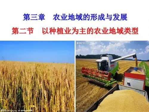 以种植业为主的农业地域类型