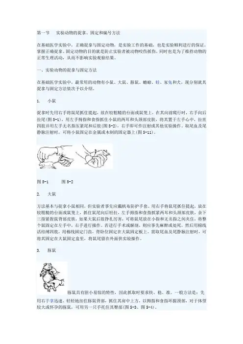 动物实验的基本操作