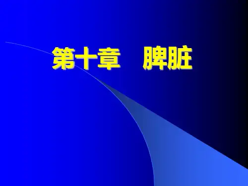 脾脏ppt