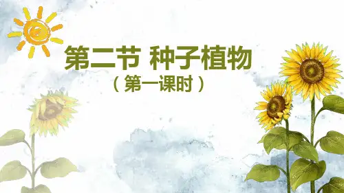 【公开课】种子植物(第一课时)课件-2024--2025学年人教版生物七年级上册