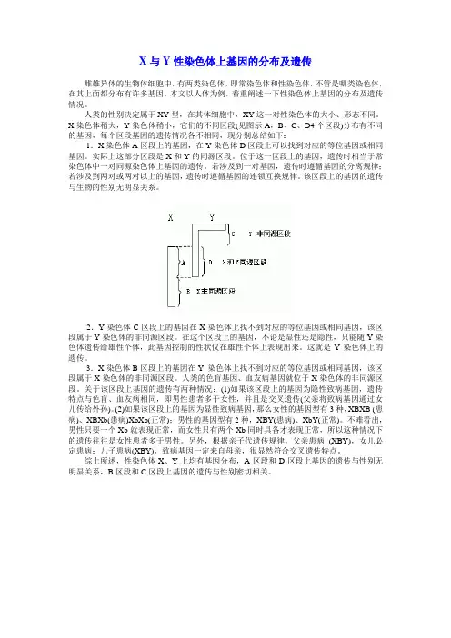 X与Y性染色体上基因的分布及遗传