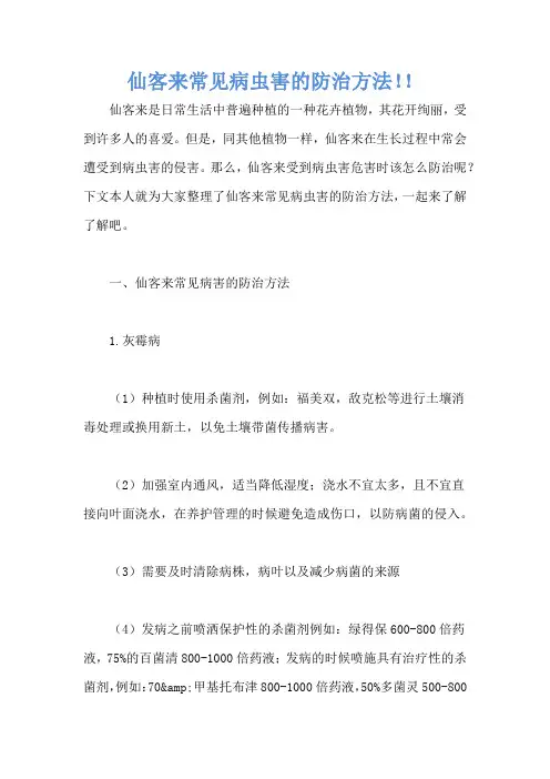 仙客来常见病虫害的防治方法!!