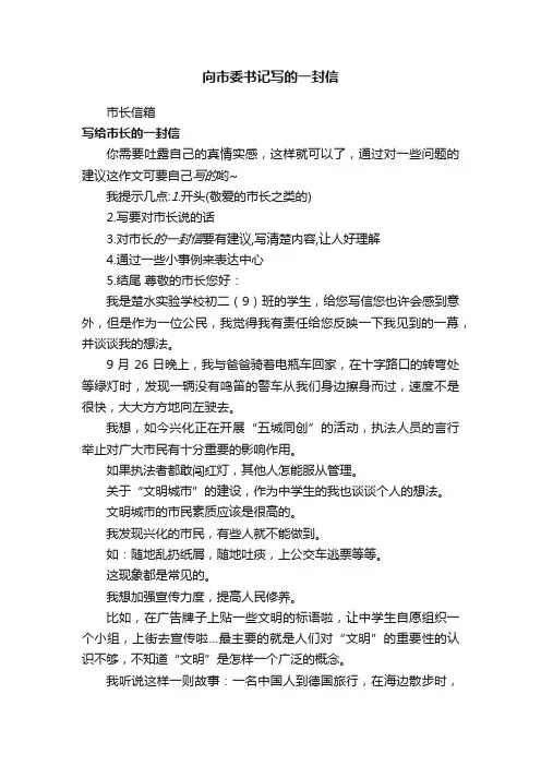 向市委书记写的一封信