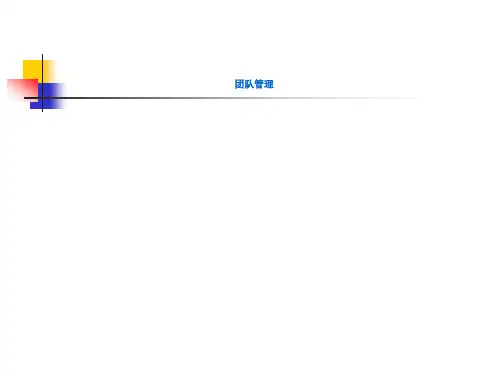 团队管理(74页PPT)