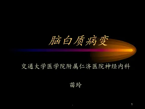 脑白质病变PPT课件
