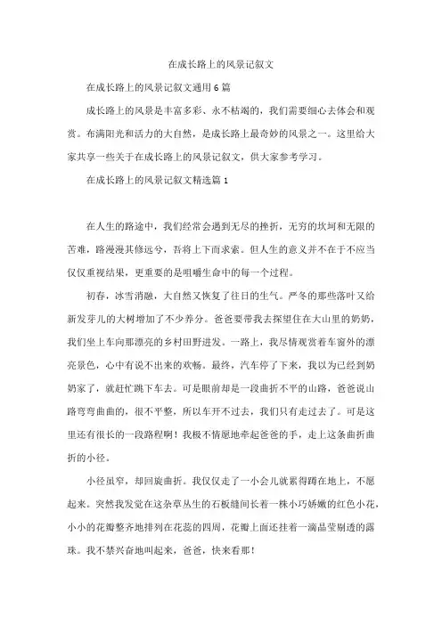 在成长路上的风景记叙文
