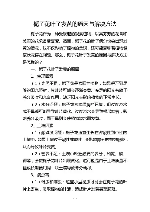 栀子花叶子发黄的原因与解决方法