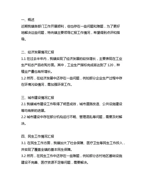 各分管领导汇报 镇主要领导进行点评