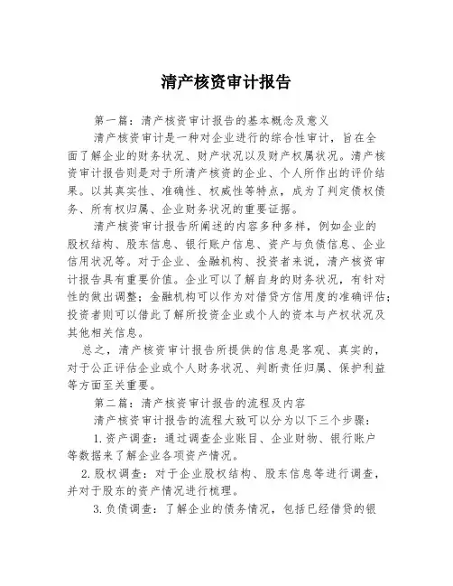 清产核资审计报告3篇