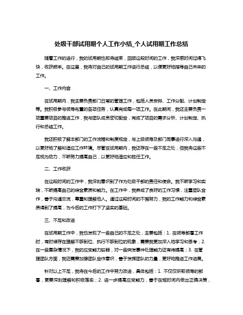 处级干部试用期个人工作小结_个人试用期工作总结