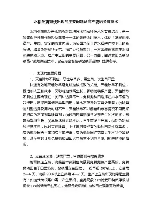 水稻免耕抛秧出现的主要问题及高产栽培关键技术