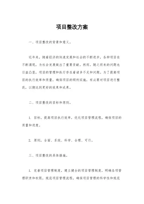 项目整改方案