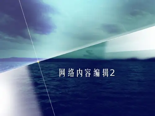 网络内容编辑PPT课件