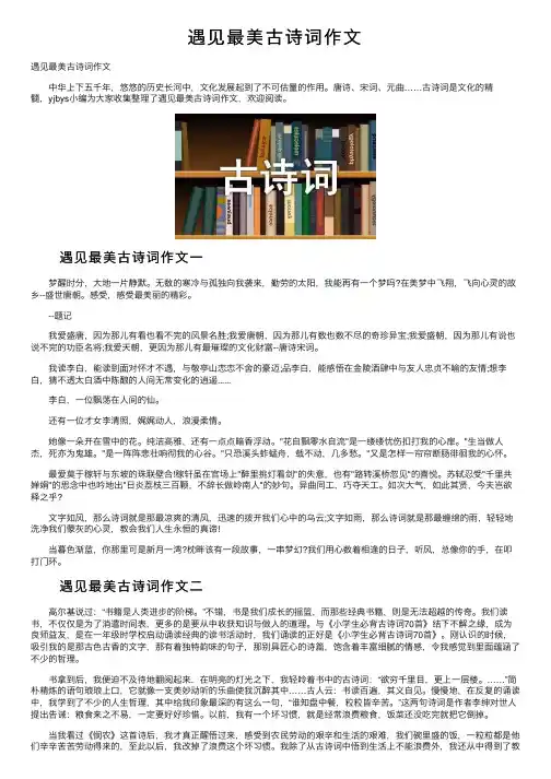 遇见最美古诗词作文