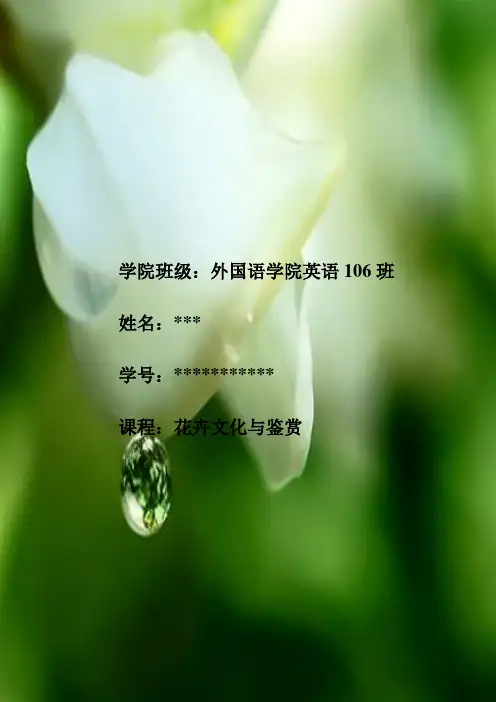 槐花
