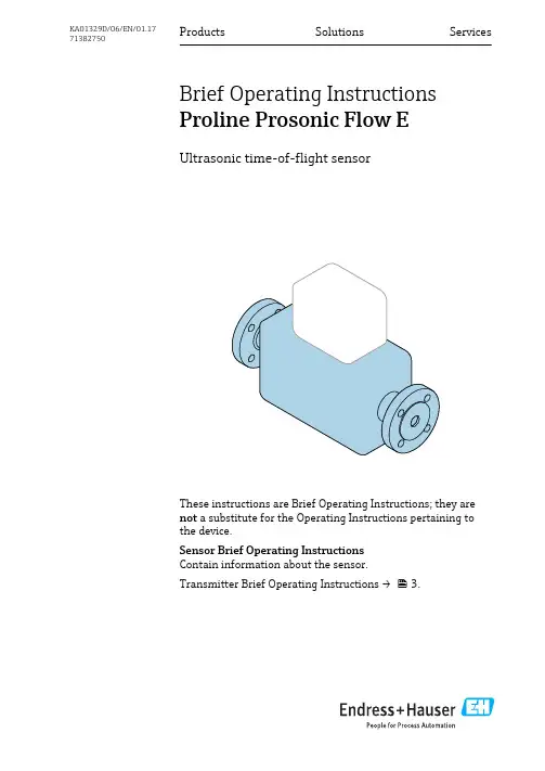 Endress+Hauser Proline Prosonic Flow E 2 设备简要操作指南说