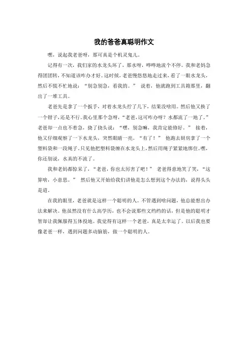 我的爸爸真聪明作文