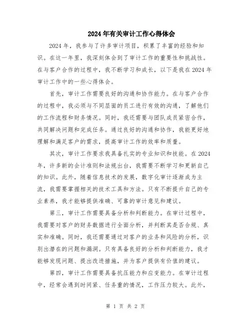 2024年有关审计工作心得体会